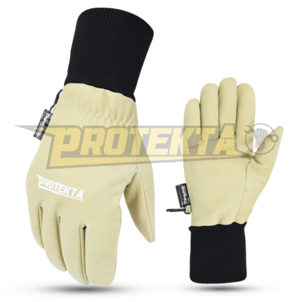 Winter Gloves