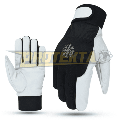 Winter Gloves