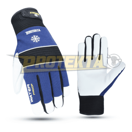 Winter Gloves